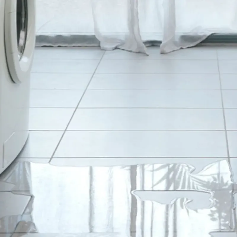 Appliance Leak Cleanup in Iberville Parish, LA