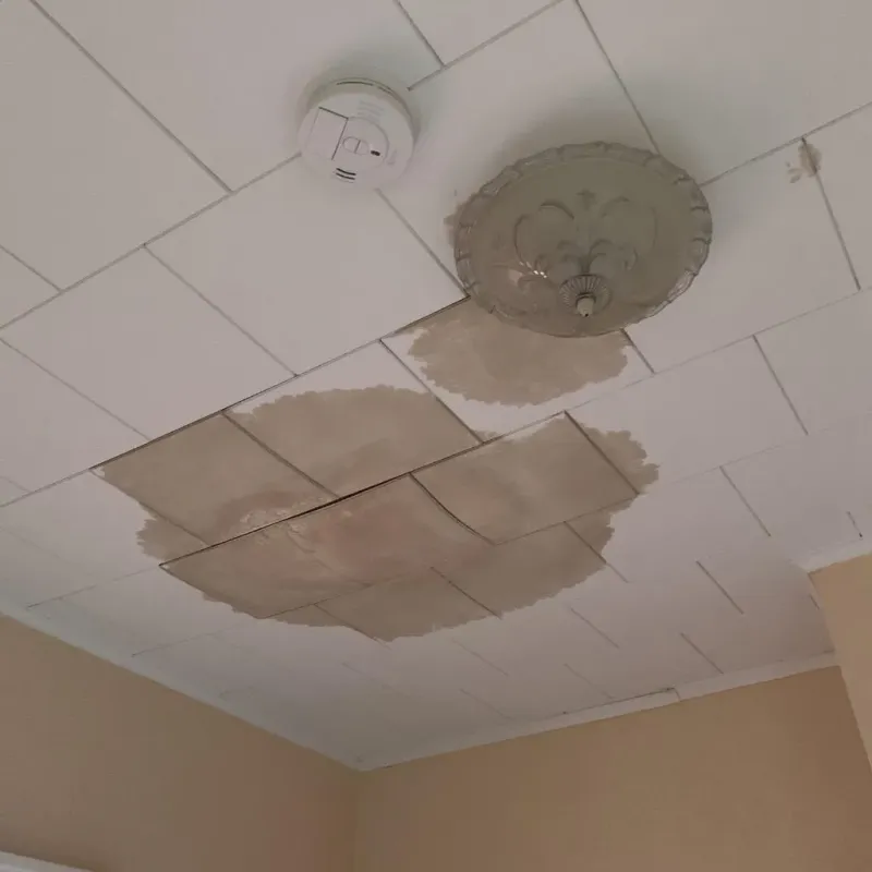 Ceiling Water Damage Repair in Iberville Parish, LA